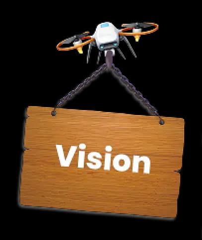 Vision